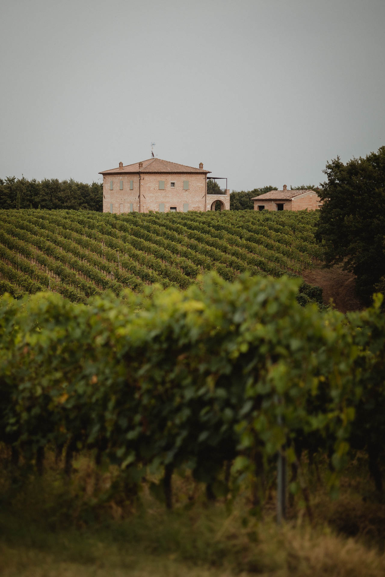 Couple Photo Shoot in Val d'Orcia, The Unseen Photography