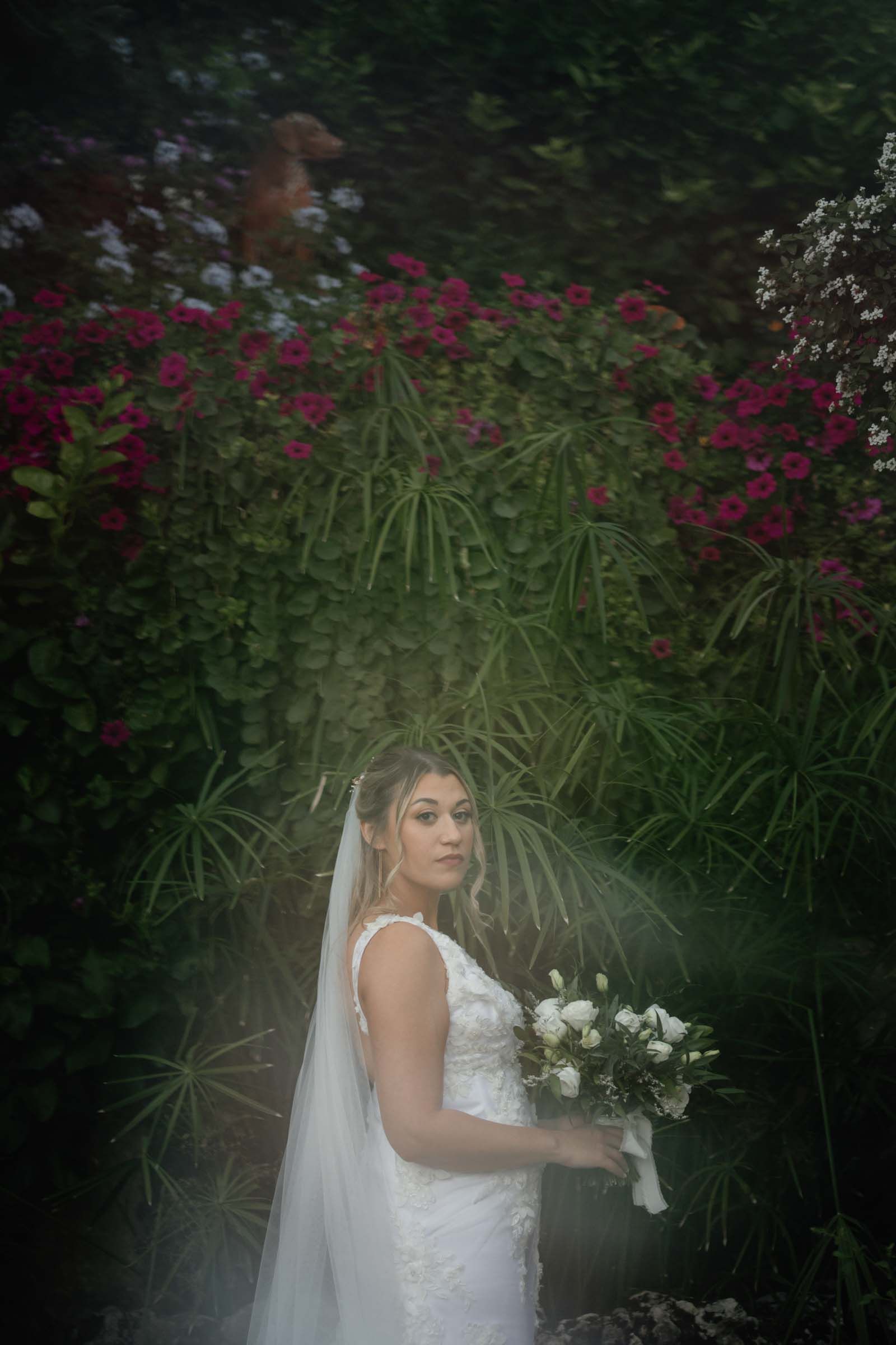 elopement bride portrait at villa sermolli, pisa, tuscany